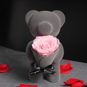 Teddy Bear Rose Box