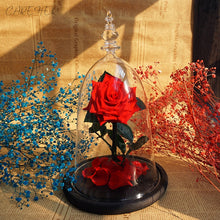 Load image into Gallery viewer, Valentines Day Gift immortal red flovers