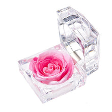 Load image into Gallery viewer, Eternal Rose