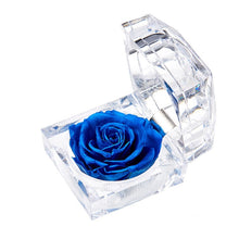 Load image into Gallery viewer, Eternal Rose