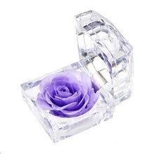 Load image into Gallery viewer, Eternal Rose