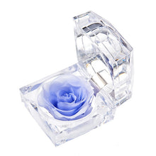 Load image into Gallery viewer, Eternal Rose