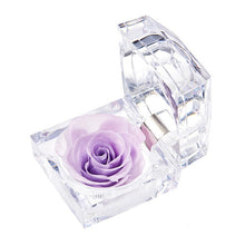 Load image into Gallery viewer, Eternal Rose