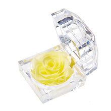 Load image into Gallery viewer, Eternal Rose