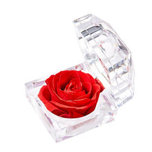 Load image into Gallery viewer, Eternal Rose