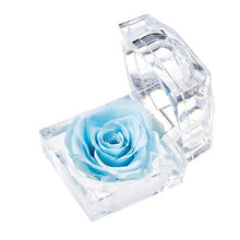 Load image into Gallery viewer, Eternal Rose