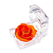 Load image into Gallery viewer, Eternal Rose