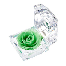 Load image into Gallery viewer, Eternal Rose