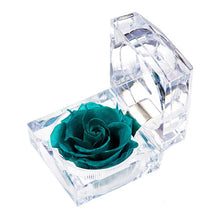 Load image into Gallery viewer, Eternal Rose