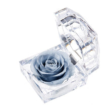 Load image into Gallery viewer, Eternal Rose