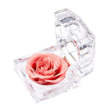 Load image into Gallery viewer, Eternal Rose