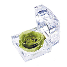 Load image into Gallery viewer, Eternal Rose